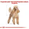Корм для дорослих собак породи Пудель ROYAL CANIN POODLE ADULT 0.5 кг — Фото 5