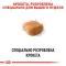 Корм для дорослих собак породи Пудель ROYAL CANIN POODLE ADULT 1.5 кг — Фото 6
