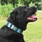 Нашийник для Собак Мартінґейл BronzeDog Urban Нейлоновий з Металевою Фурнітурою Інки L — Фото 13