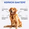 Комбіфлор пробіотик (Kombiflor Probiotic) порошок для підтримки балансу мікрофлори кишечника собак та котів MODES — Фото 7