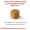Сухий корм Royal Canin MAINECOON KITTEN для кошенят породи Мейн-кун 2 кг — Фото 9