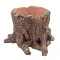 Декорація Hobby Wildwood Stump 15×14,5×9 см - декоративний пень, поїлка, горщик для тераріуму (40849) — Фото 13