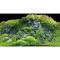 Задній фон Hobby Planted River/Green Rocks 60x30см (31043) — Фото 8