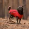 Жилет Pet Fashion «E.Vest» для собак, розмір M, червоний — Фото 7