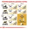 Сухий корм Royal Canin BRITISH SHORTHAIR ADULT для котів породи Британська короткошерста кішка 0,4 кг — Фото 11