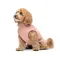 Борцівка Kale ТМ Pet Fashion для собак XS рожева — Фото 6