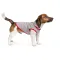 Жилет Pet Fashion «Fleecy» для собак, розмір XS2, сіро-червоний — Фото 5