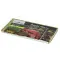 Сфагновий мох Repti-Zoo Sphagnum moss 100г. 4.5л. (SB031) — Фото 8