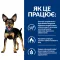 Hill’s Prescription Diet Metabolic Mini Сухий корм для собак малих порід для контролю та зниження ваги, з куркою, 1 кг — Фото 12