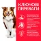 Hill’s Science Plan Mature Adult 7+ Medium Breed Сухий корм для зрілих собак середніх порід від 7 років, з ягням і рисом, 14 кг — Фото 5