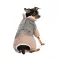 Костюм дівчинка Pet Fashion Twiddy S для собак — Фото 8