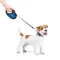 Повідець-рулетка для собак WAUDOG R-leash, малюнок "Сміливість", S, до 15 кг, 5 м, світловідбиваюча стрічка чорний — Фото 16