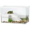 Тераріум-акваріум для черепахи Kruger Meier LagunaVerde Turtle Aquarium 30×18×18 см з островом і фільтром — Фото 7