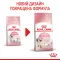 Сухий корм Royal Canin KITTEN для кошенят всіх порід 10 кг — Фото 8