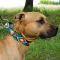 Нашийник для Собак Мартінґейл BronzeDog Urban Нейлоновий з Металевою Фурнітурою Ромби L — Фото 11