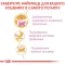Сухий корм Royal Canin MAINECOON KITTEN для кошенят породи Мейн-кун 2 кг — Фото 8