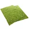 Фон моховий Repti-Zoo Natural Moss Back & Bottom 20x30см 2шт. (NCM3020) — Фото 11