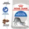 Сухий корм Royal Canin INDOOR для котів всіх порід 4 кг — Фото 7