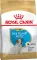 Сухий корм Royal Canin JACK RUSSEL PUPPY для цуценят породи Джек Расел Тер`єр 1,5 кг — Фото 7