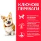 Hill’s Science Plan Adult Small&Mini Сухий корм для дорослих собак малих і мініатюрних порід, з ягням і рисом, 6 кг — Фото 7