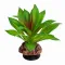 Штучна рослина Hobby Terra Succulent 2 10 см (37731) для тераріуму, акватераріуму та палюдаріуму — Фото 3