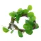 Штучна ліана Hobby Jungle Vine 1 100 см (37702) - гнучка декоративна рослина для тераріуму, акватераріуму та палюдаріуму — Фото 11