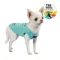 Борцівка Pet Fashion «Puppy» для собак, розмір S, м'ятна — Фото 11