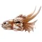 Декорація череп дракона Hobby Dragon Skull M 19,5×14,5×13,5 см для акваріума і тераріума (32075) — Фото 8