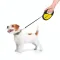 Повідець-рулетка для собак WAUDOG R-leash, малюнок "Сміливість", M, до 25 кг, 5 м, світловідбиваюча стрічка чорний — Фото 16