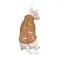 Жилет Pet Fashion для великих собак Big Boss бежевий розмір 3XL — Фото 12