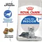 Сухий корм Royal Canin INDOOR 7+ для Кіт 3,5 кг — Фото 7