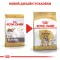 Сухий корм Royal Canin BULLDOG ADULT для дорослих собак породи Бульдог 12 кг — Фото 7