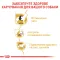 Сухий корм Royal Canin BEAGLE ADULT для дорослих собак породи Бігль 3 кг — Фото 10