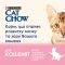 Сухий корм CAT CHOW Kitten для кошенят з куркою 15 кг — Фото 19