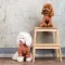 Толстовка Pet Fashion Miley для собак розмір S — Фото 9
