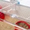 Ferplast CAGE MAXI DUNA MULTI Клітка для середніх гризунів — Фото 21