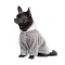 Толстовка Pet Fashion «Delicate» для собак, розмір S, сіра — Фото 5