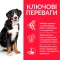 Hill’s Science Plan Adult Large Breed Сухий корм для дорослих собак великих порід, з ягням і рисом, 14 кг — Фото 7