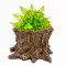 Декорація Hobby Wildwood Stump 15×14,5×9 см - декоративний пень, поїлка, горщик для тераріуму (40849) — Фото 11