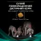 Сухий дієтичний корм PRO PLAN VETERINARY DIETS EN Gastrointestinal для дорослих собак та цуценят для усунення розладів травлення 12 кг — Фото 20