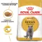 Сухий корм Royal Canin BRITISH SHORTHAIR ADULT для котів породи Британська короткошерста кішка 0,4 кг — Фото 7