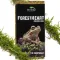 Натуральний мох торф’яний Terrario ForestHeart Sphagnum Moss 100г для тераріумів та орхідей — Фото 10