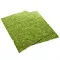 Фон моховий Repti-Zoo Natural Moss Back & Bottom 60x45см 2шт. (NCM6045) — Фото 10