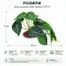 Штучна рослина Hobby Alocasia 1 24 × 14 см (37717) для тераріуму, акватераріуму та палюдаріуму — Фото 4