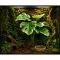 Штучна рослина Hobby Monstera White 40 см (37712) для тераріуму, акватераріуму та палюдаріуму — Фото 5