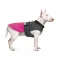 Попона Pet Fashion «Roy» для собак, розмір 6XL, малиново-сірий — Фото 9