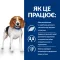 Hill's Prescription Diet r/d Сухий корм для собак для зниження ваги, з куркою, 10 кг — Фото 12