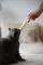 Паста для котів GimCat Cheese Biotin Paste cирна з біотином, 100 г — Фото 7