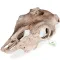 Декорація череп буйвола Terrario Buffalo Skull 21x12x8см (22128) — Фото 10