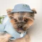 Панама Pet Fashion для собак Blue M — Фото 7